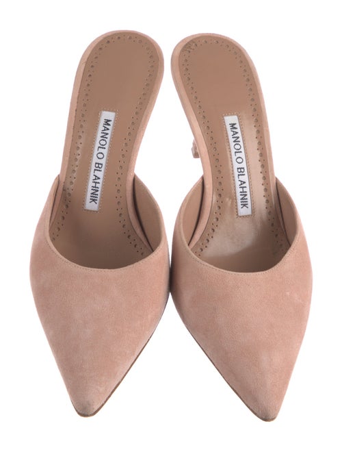 Manolo Blahnik Suede Mules