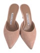 Manolo Blahnik Suede Mules