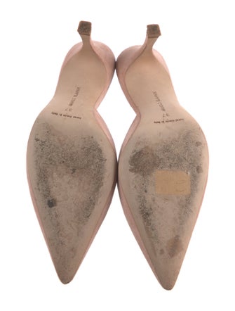 Manolo Blahnik Suede Mules