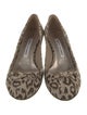 Manolo Blahnik Animal Print Bow Accents Pumps