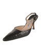 Manolo Blahnik Crocodile Pumps