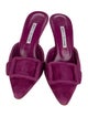 Manolo Blahnik Suede Mules