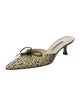Manolo Blahnik Canvas Printed Mules
