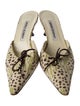 Manolo Blahnik Canvas Printed Mules