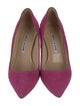 Manolo Blahnik Suede Pumps