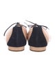 Manolo Blahnik Leather Ballet Flats