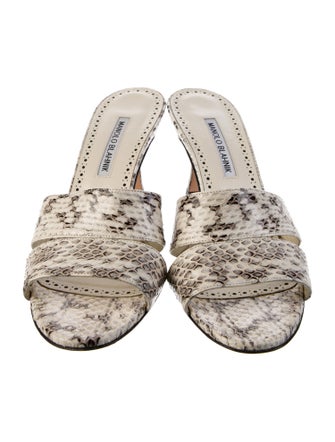Manolo Blahnik Snakeskin Animal Print Slides