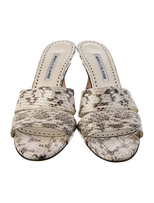 Manolo Blahnik Snakeskin Animal Print Slides