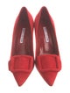 Manolo Blahnik Suede Pumps
