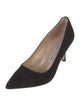 Manolo Blahnik Suede Pumps