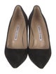 Manolo Blahnik Suede Pumps