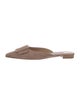 Manolo Blahnik Suede Mules