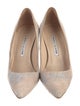 Manolo Blahnik Suede Animal Print Pumps