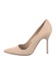 Manolo Blahnik Canvas Pumps