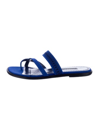 Manolo Blahnik Flip Flops