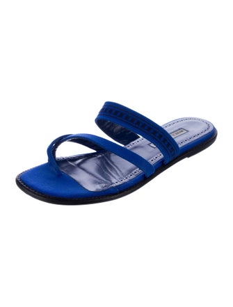 Manolo Blahnik Flip Flops