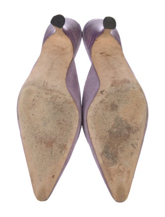 Manolo Blahnik Suede Mules