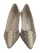 Manolo Blahnik Snakeskin Animal Print Pumps