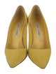 Manolo Blahnik Suede Pumps