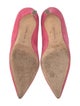 Manolo Blahnik Suede Pumps