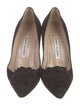 Manolo Blahnik Suede Pumps