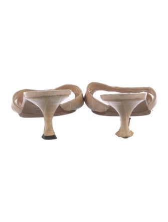 Manolo Blahnik Alligator Slides