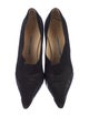 Manolo Blahnik Suede Pumps