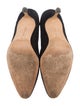 Manolo Blahnik Suede Pumps