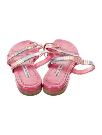 Manolo Blahnik Leather Printed Slides