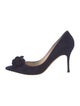 Manolo Blahnik Suede Pumps