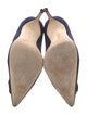 Manolo Blahnik Suede Pumps