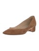Manolo Blahnik Suede Pumps