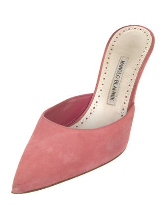 Manolo Blahnik Suede Mules