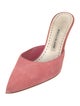 Manolo Blahnik Suede Mules