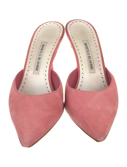 Manolo Blahnik Suede Mules