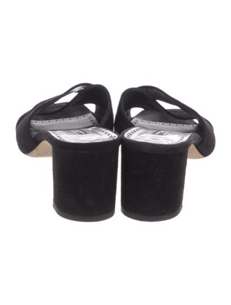 Manolo Blahnik Suede Slides