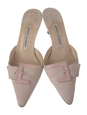Manolo Blahnik Suede Mules