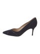 Manolo Blahnik Suede Pumps