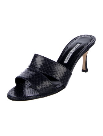 Manolo Blahnik Snakeskin Slides