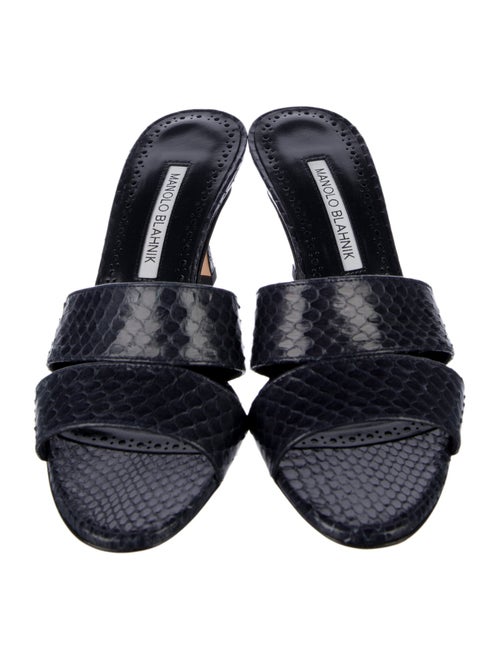 Manolo Blahnik Snakeskin Slides