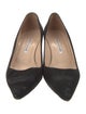 Manolo Blahnik Suede Pumps