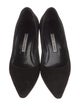 Manolo Blahnik Suede Pumps