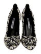 Manolo Blahnik Hangisi Canvas Pumps