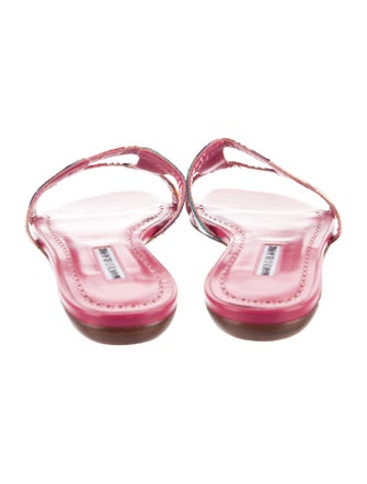 Manolo Blahnik Leather Printed Slides