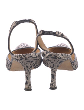Manolo Blahnik Carolyne Floral Print Slingback Pumps