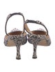Manolo Blahnik Carolyne Floral Print Slingback Pumps