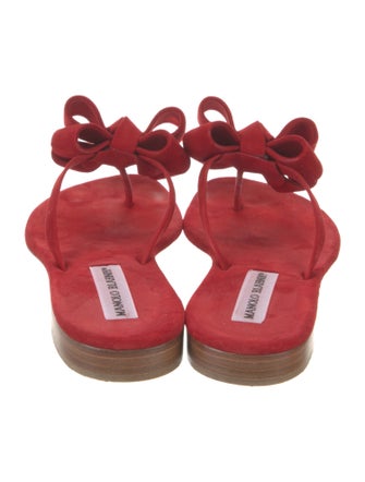 Manolo Blahnik Patricia Suede Slides