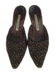 Manolo Blahnik Velvet Printed Mules