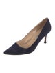 Manolo Blahnik Suede Pumps