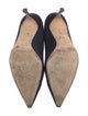 Manolo Blahnik Suede Pumps